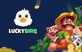 xem truyền hình trực tuyến